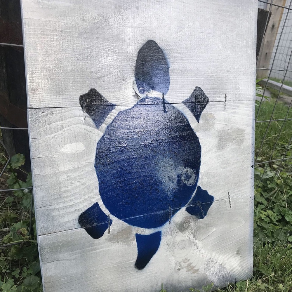 Turtle Wall Hang